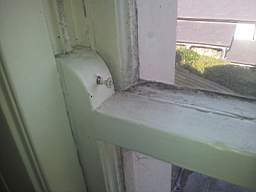 fkillineybeforeinternal 1550.jpg